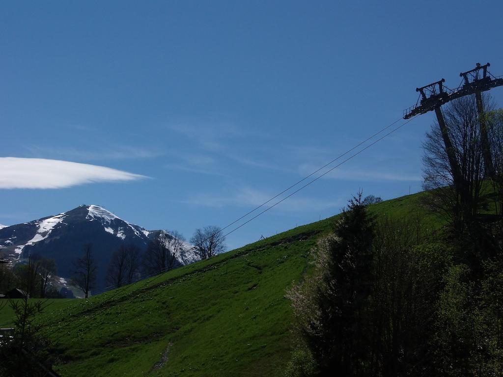 Appartement Haus Bergheim à Saalbach-Hinterglemm Extérieur photo