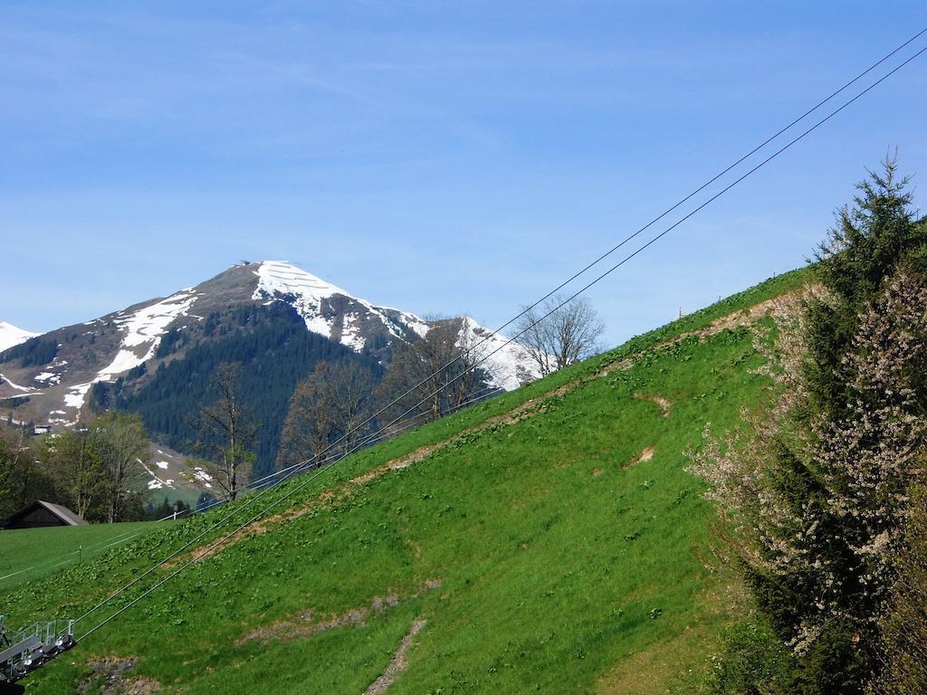 Appartement Haus Bergheim à Saalbach-Hinterglemm Extérieur photo